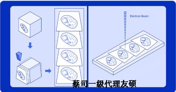 巫山蔡司巫山扫描电镜