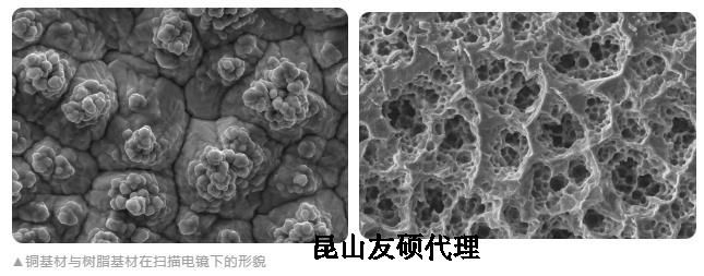 巫山蔡司巫山扫描电镜